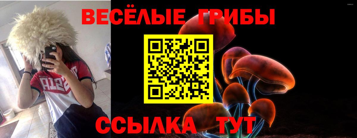 Псилоцибиновые грибы Cubensis Сафоново